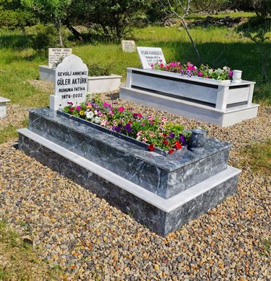 11f85a50-0e41-4a14-ae28-7a2114a13c52