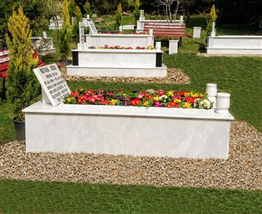 15bc06d2-1dea-43da-9174-61981a15a846