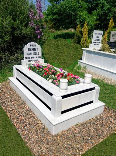 a3d59853-3adc-44a3-a011-7c9b29cae4ff