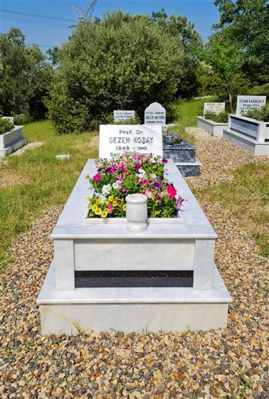 bcce41bb-43e2-4055-a20d-deb504adf580