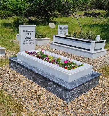 cd419b4c-3e6e-4338-88f6-392742a395d6